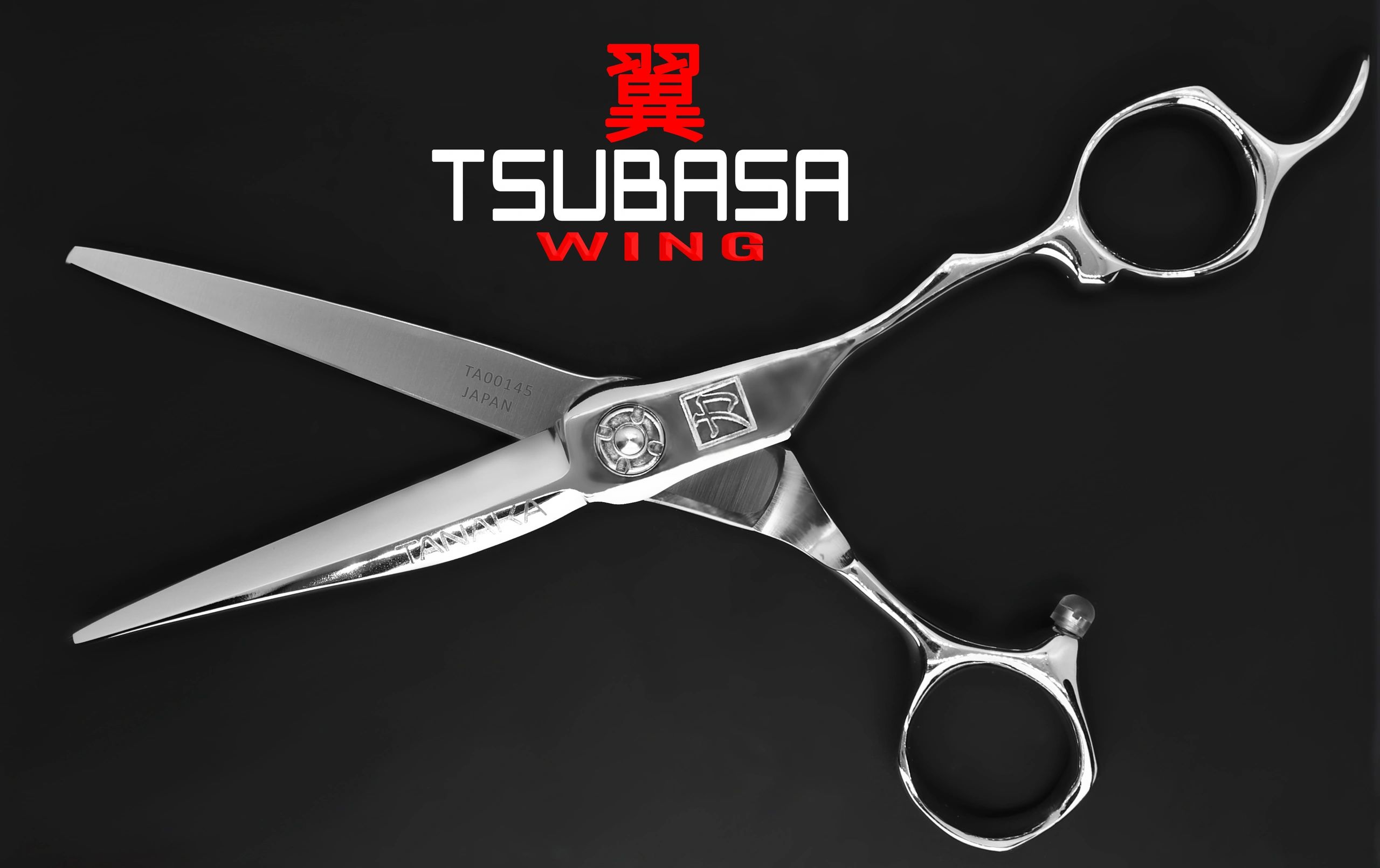 TSUBASA