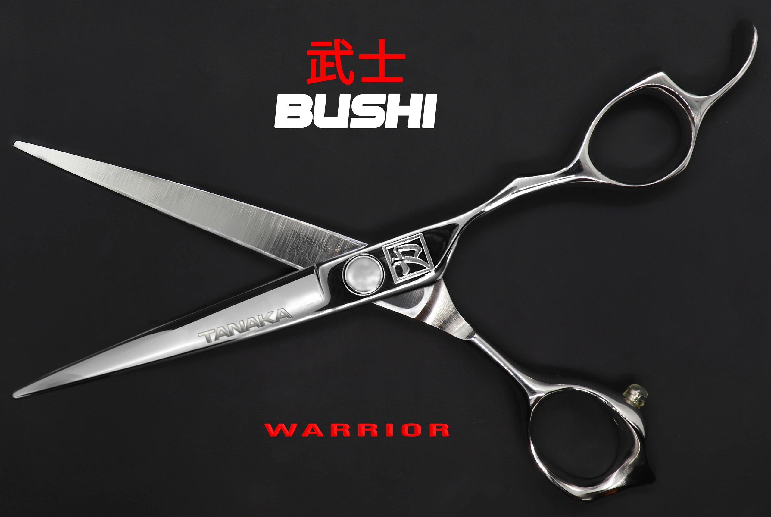 BUSHI detail